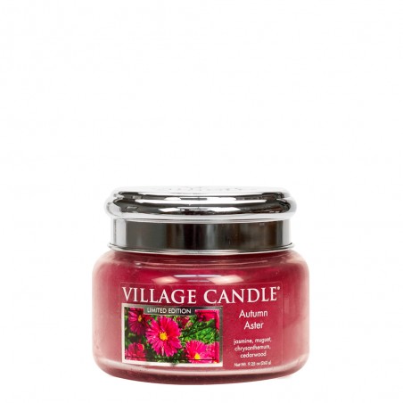 PETITE JARRE VILLAGE CANDLE AUTUMN ASTER