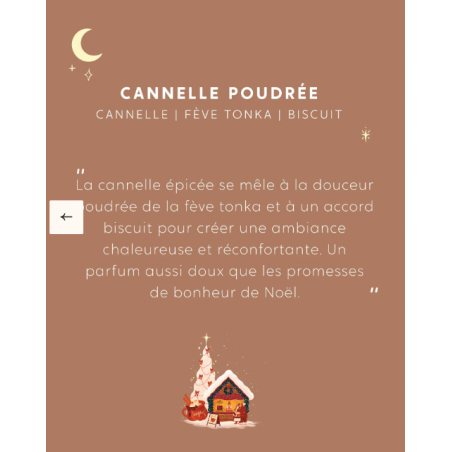 BOUGIE BIJOU Cannelle Poudrée MY JOLIE CANDLE - BR Corail